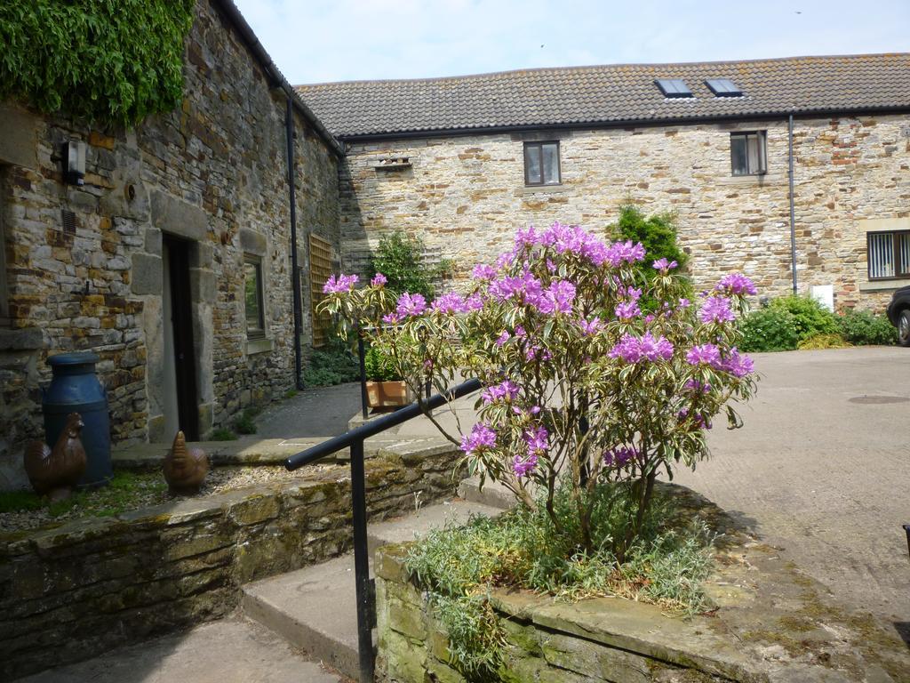 Rye Hill Farm Bed & Breakfast Hexham Exterior foto