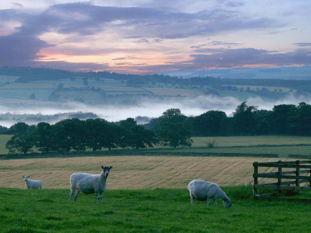 Rye Hill Farm Bed & Breakfast Hexham Exterior foto